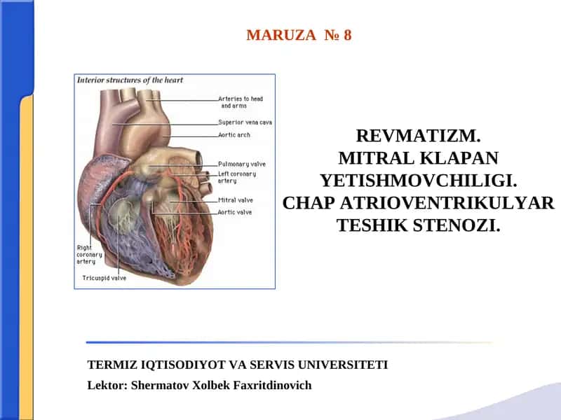 REVMATIZM.MITRAL KLAPAN YETISHMOVCHILIGI.CHAP ATRIOVENTRIKULYAR TESHIK STENOZІ. 1