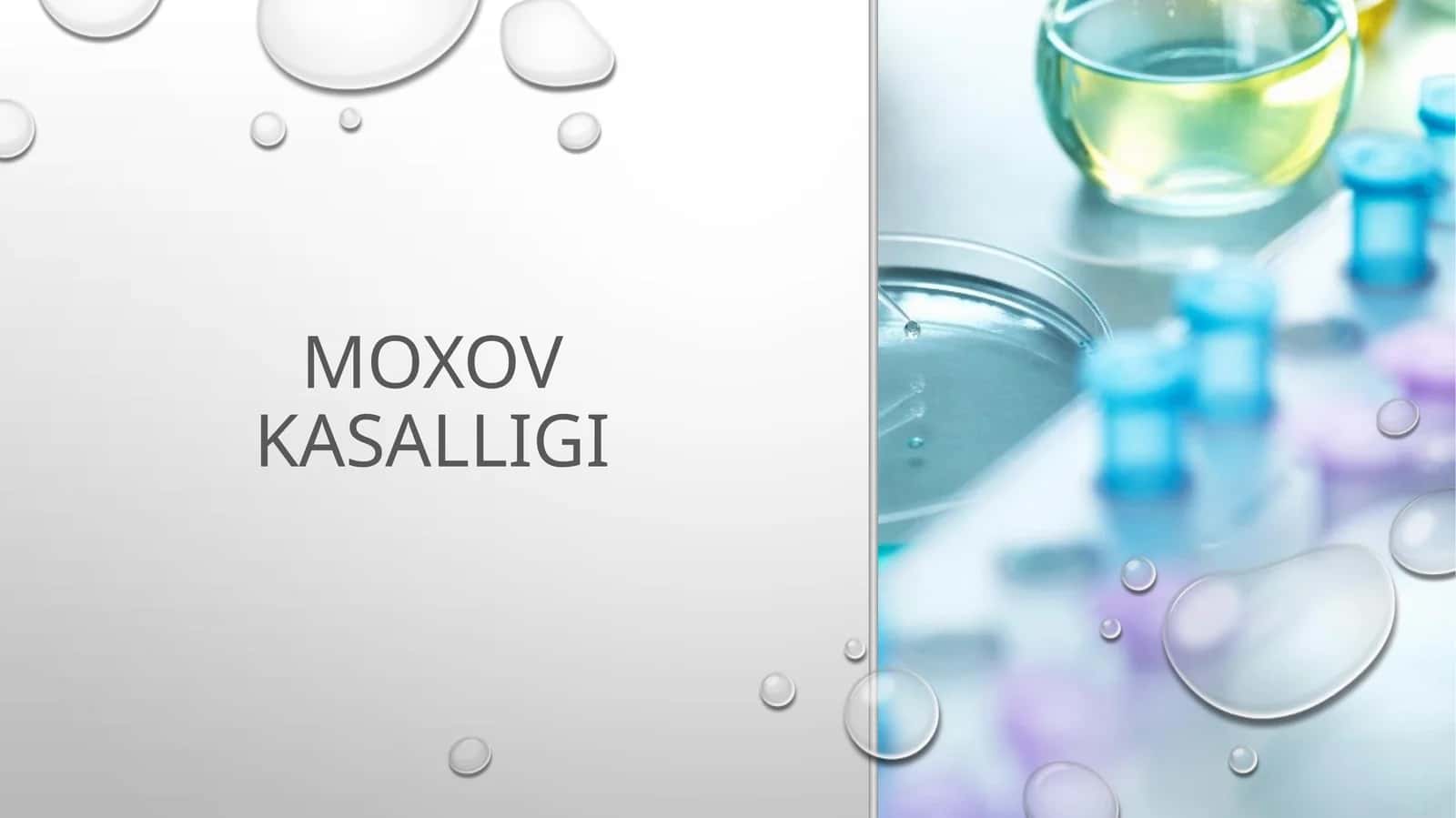 Moxov kasalligi 1