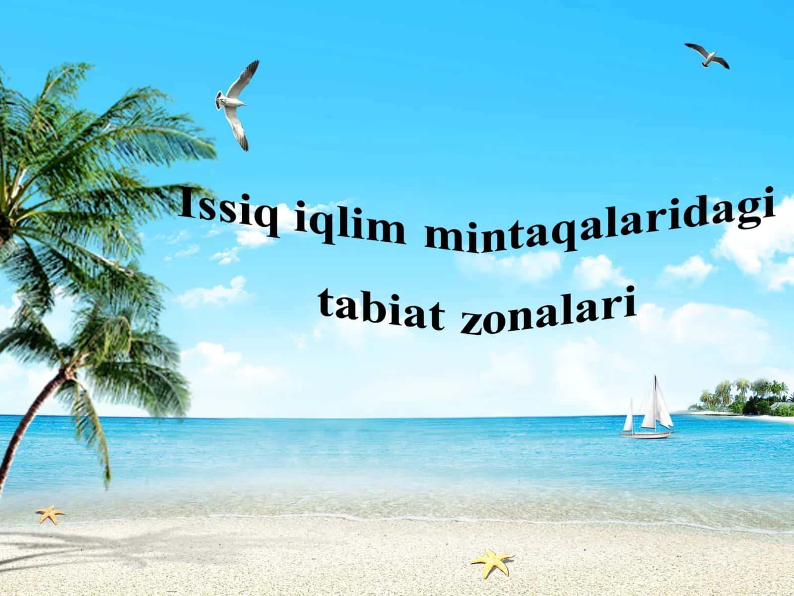 Issiq iqlim mintaqalaridagi  tabiat zonalari 1
