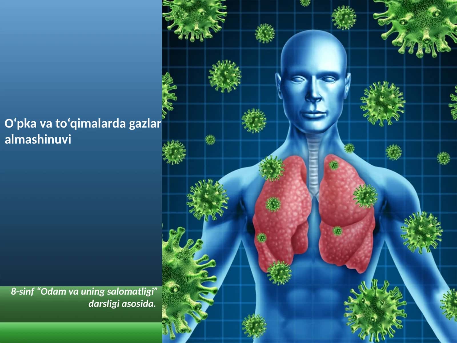 O‘pka va to‘qimalarda gazlar almashinuvi 1