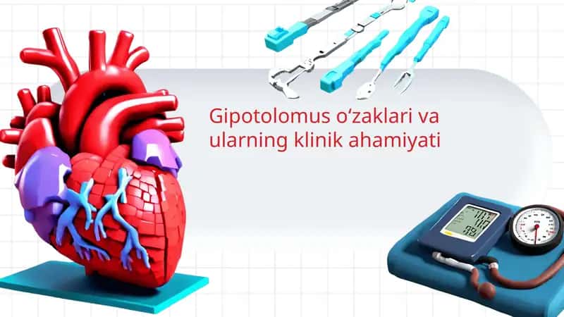 Gipotolomus oʻzaklari va ularning klinik ahamiyati 1