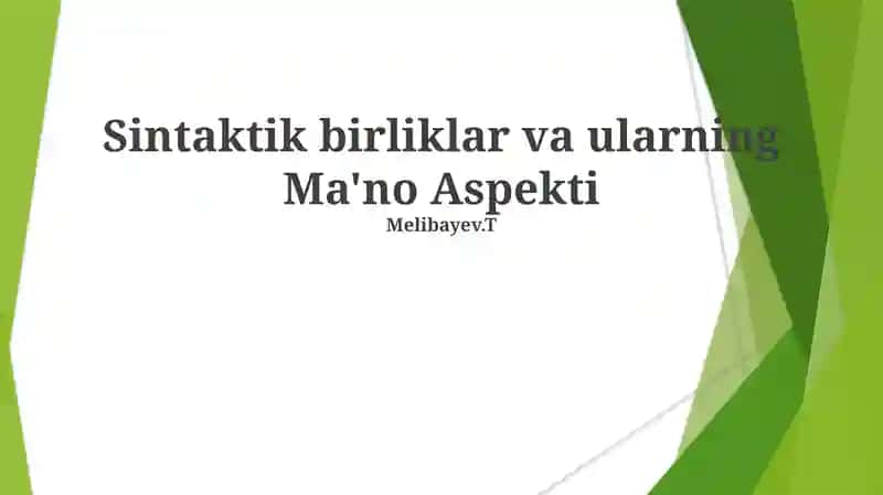 Sintaktik birliklar va ularning Ma'no Aspekti
