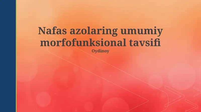 Nafas azolaring umumiy morfofunksional tavsifi 1