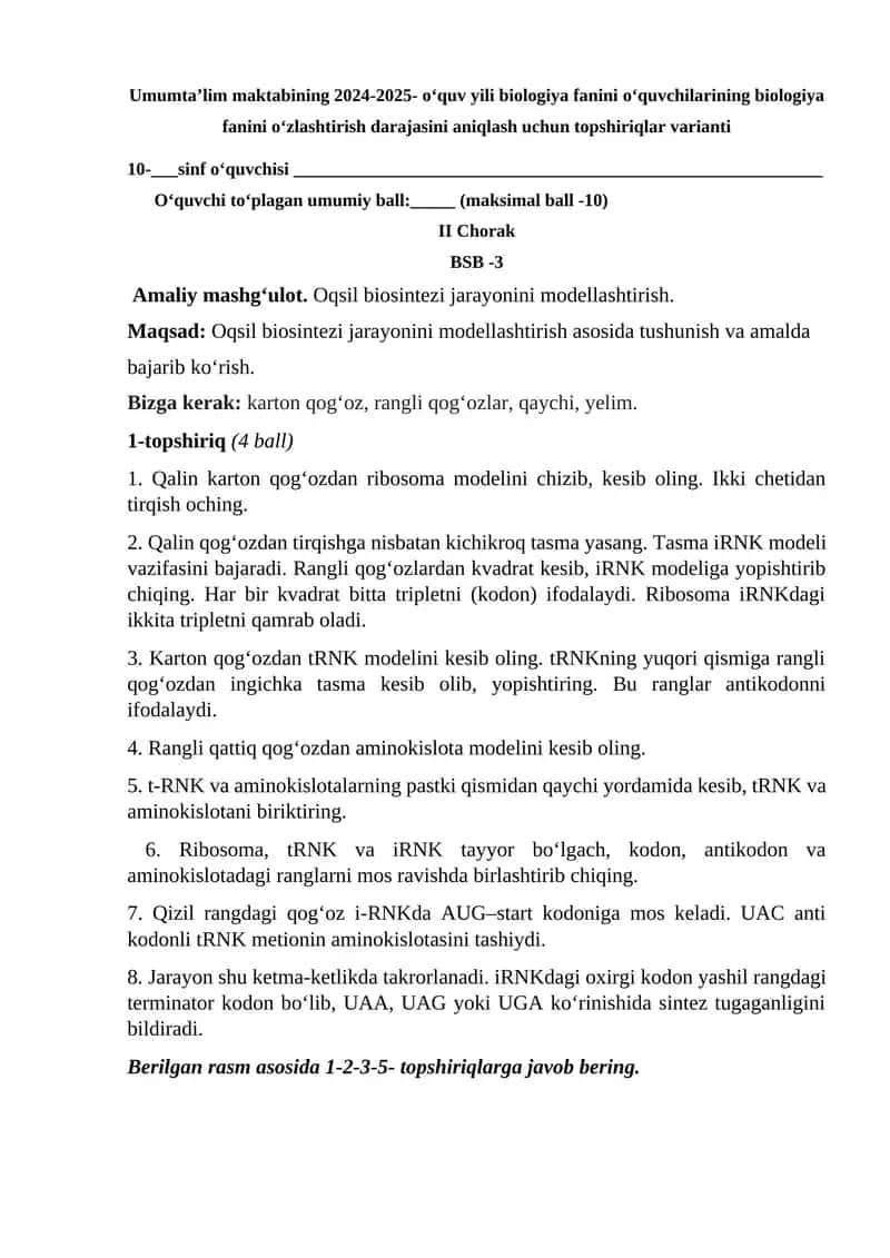 Qalin karton qog‘ozdan ribosoma modelini chizish 1