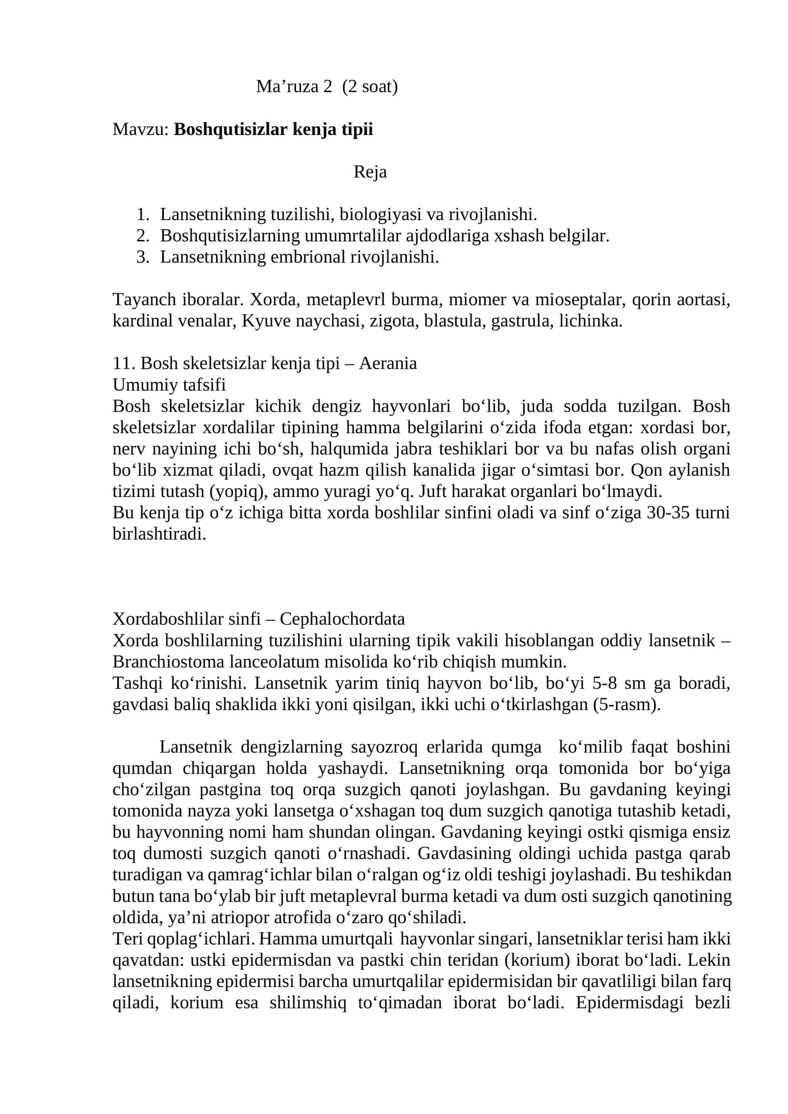 Bosh skeletsizlar kenja tipi – Aerania 1