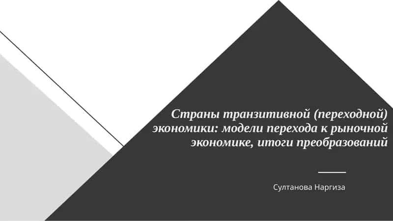 Транзитная экономика 1