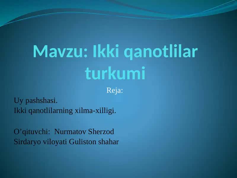 Ikki qanotlilar turkumi 1