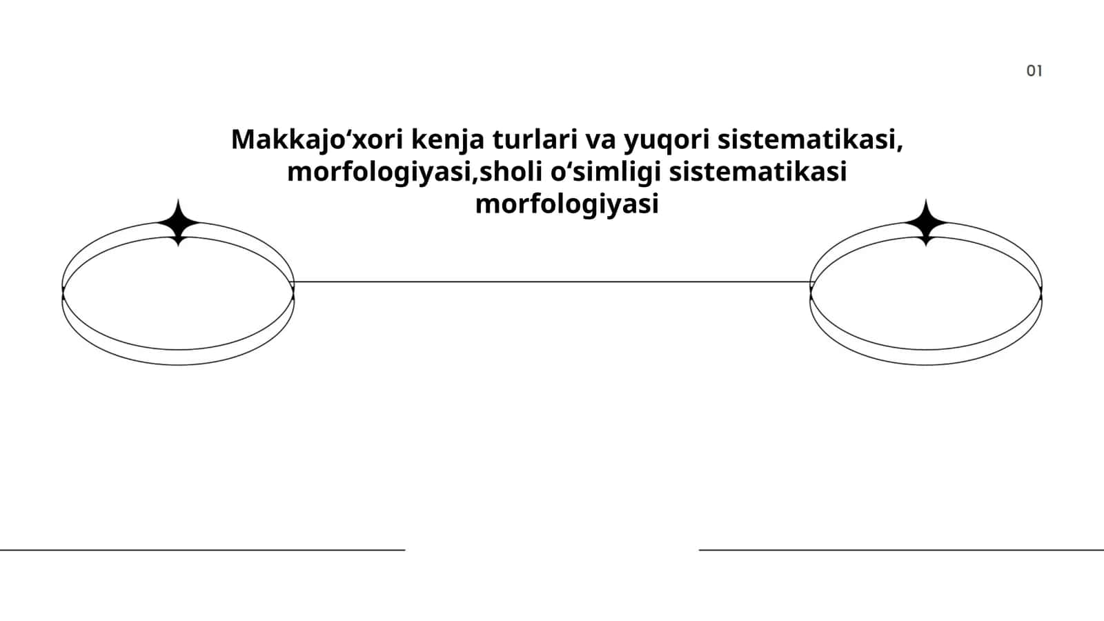 Makkajoʻxori kenja turlari va yuqori sistematikasi, morfologiyasi, sholi oʻsimligi sistematikasi morfologiyasi 1