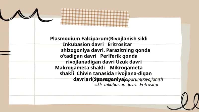Plasmodium Falciparum 1
