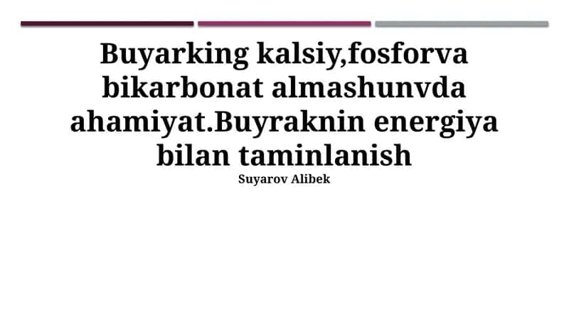 Buyrak Enerji Ta'minoti 1