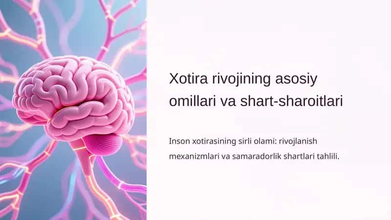 Xotira rivojining asosiy omillari va shart-sharoitlari 1