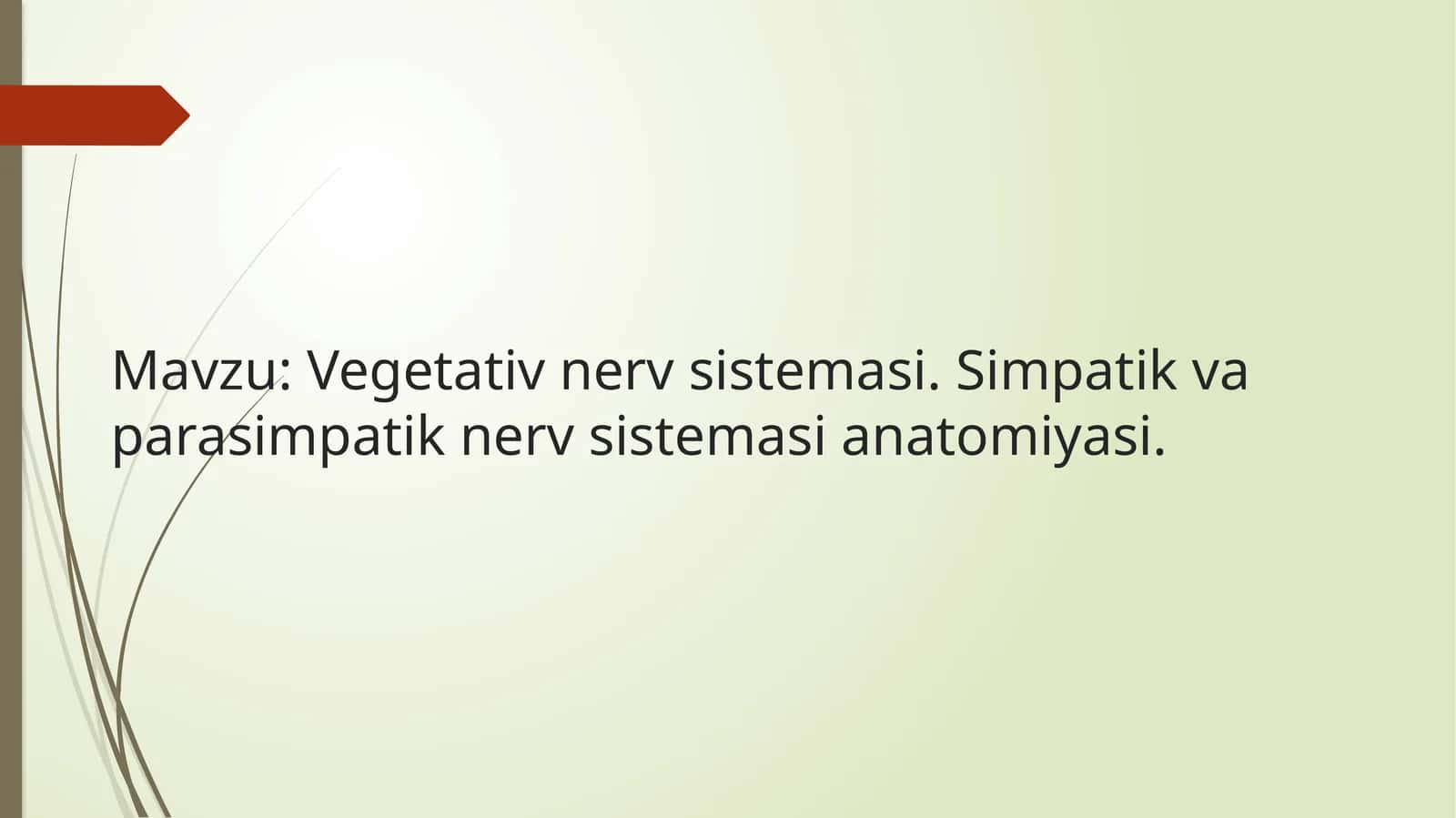 Vegetativ nerv sistemasi anatomiyasi 1