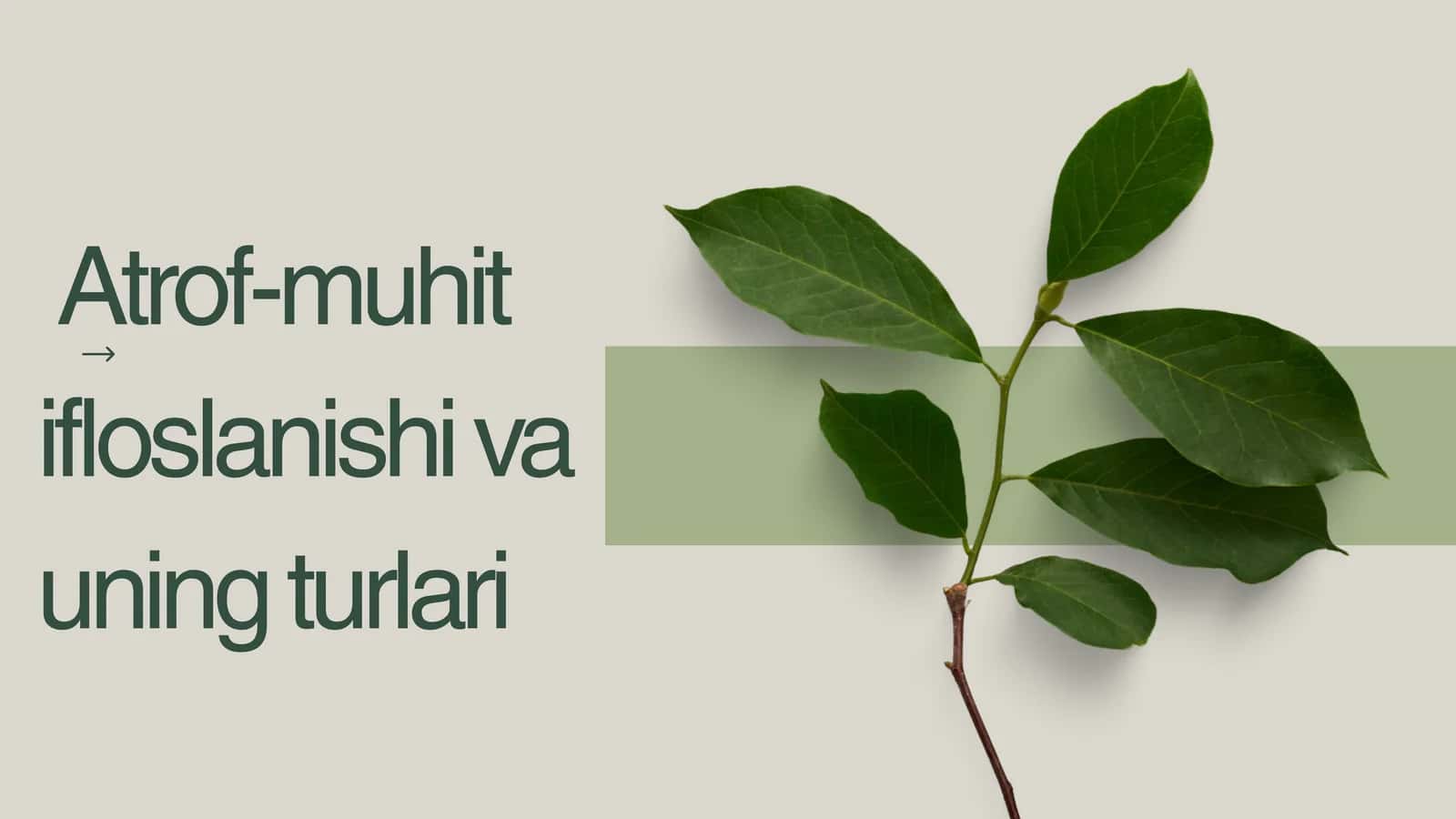 Atrof-muhit ifloslanishi va uning turlari 1
