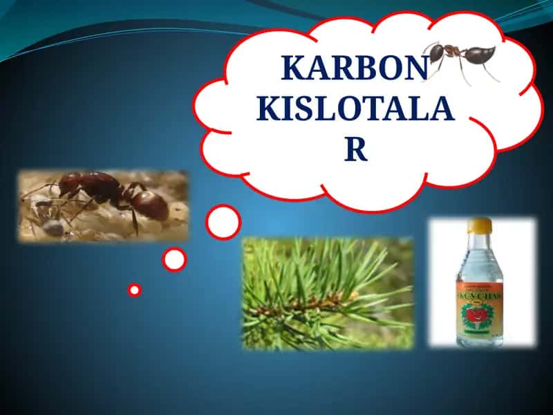 KARBON KISLOTALAR. To’yingan dikarbon kislotalar va ularning hosilalari. 1