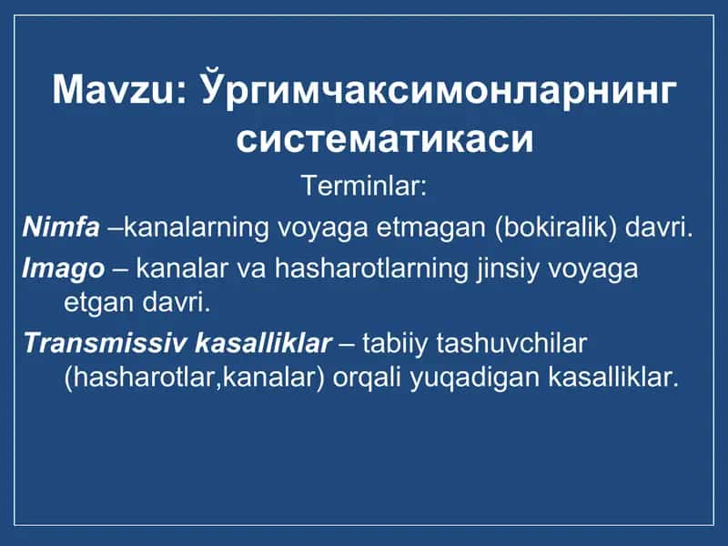 O’rgimchaksimonlar sistematikasi 1