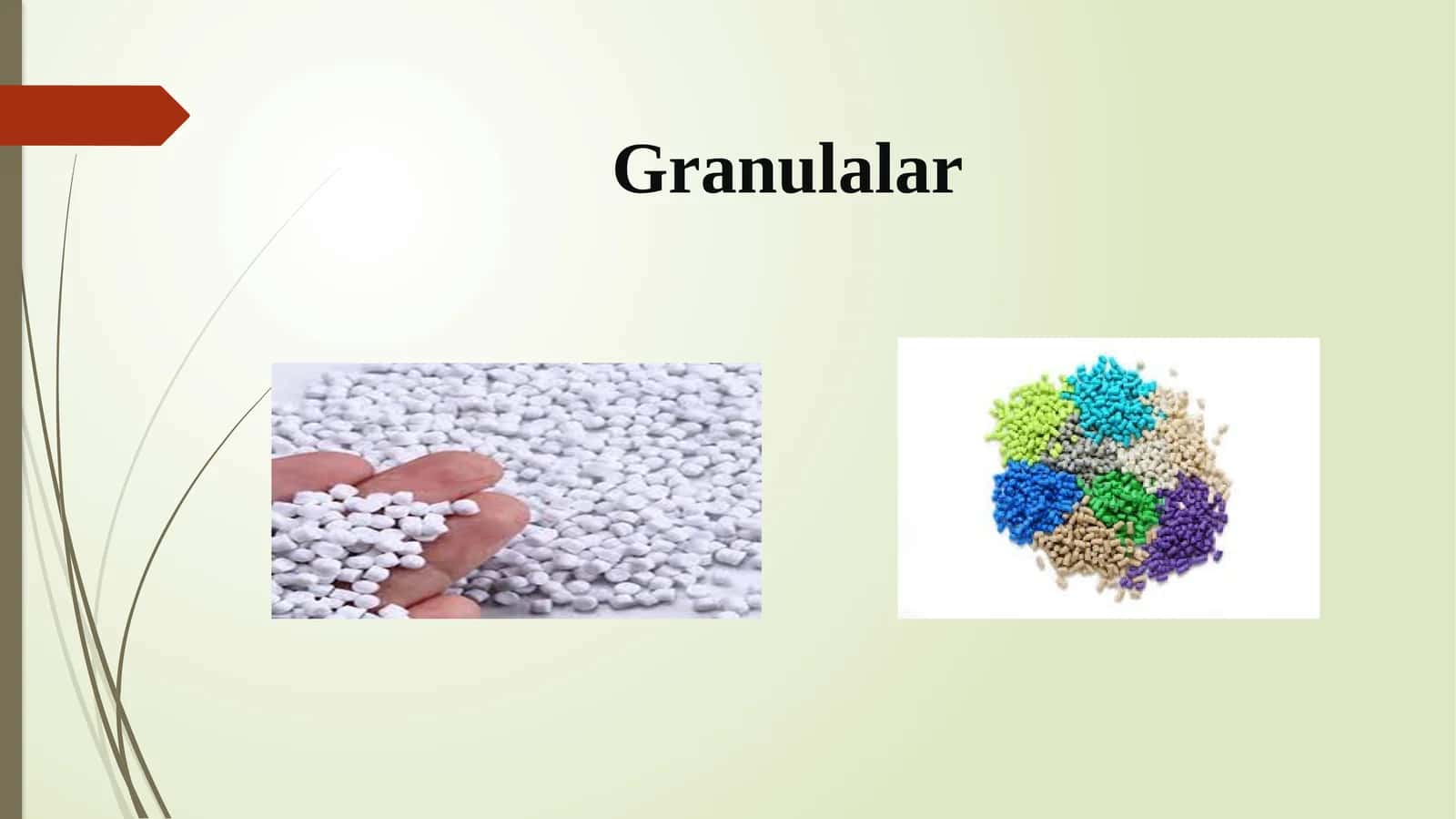 Granulalar 1