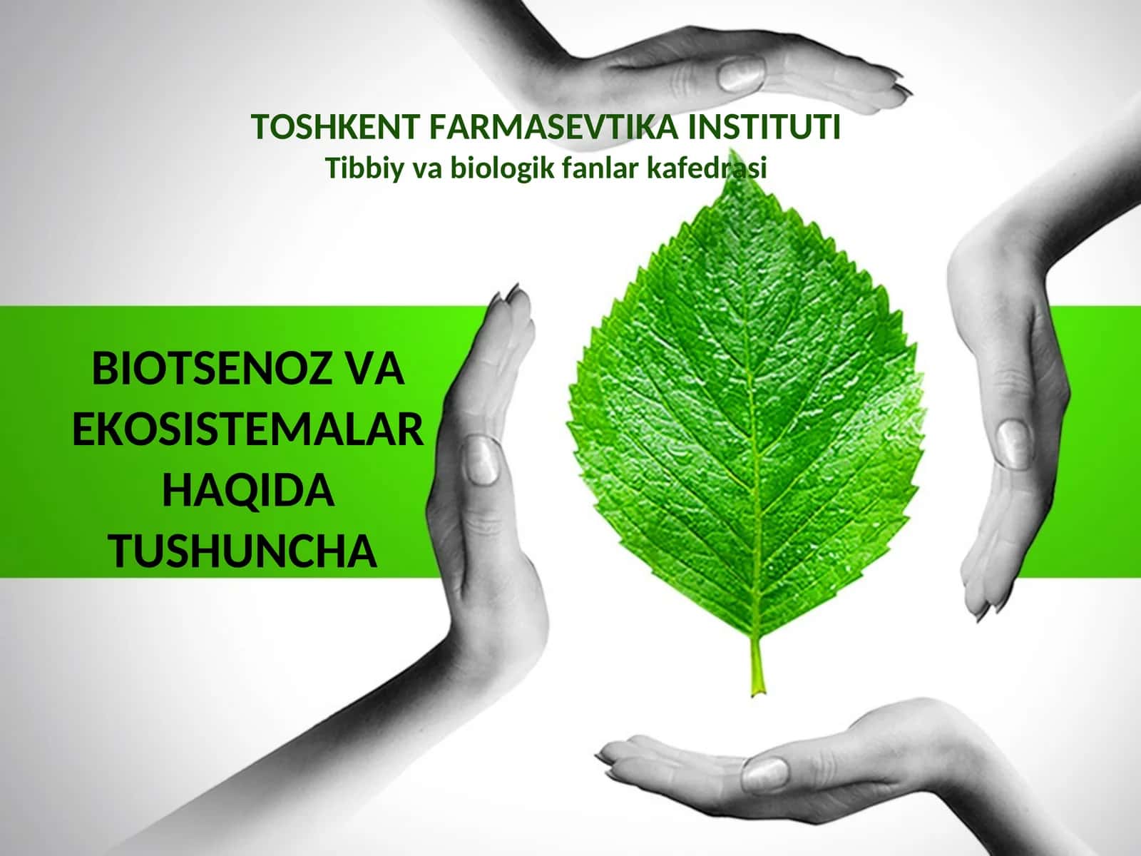 Biotsenoz va ekosistemalar haqida tushuncha 1