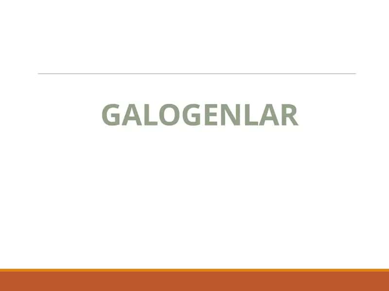 GALOGENLAR 1