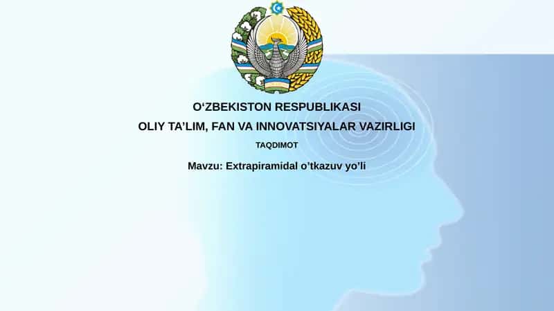 Ekstrapiramidal yo'l 1