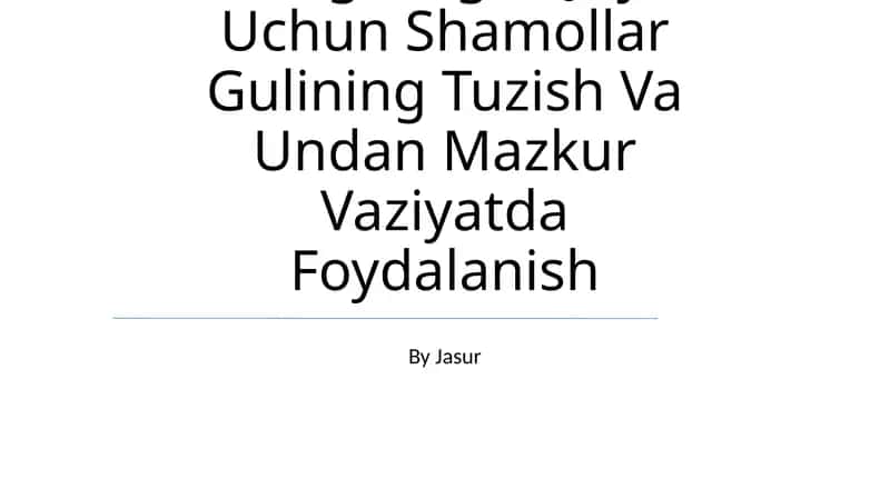 Belgilangan Joy Uchun Shamollar Gulining Tuzish Va Undan Mazkur Vaziyatda Foydalanish 1