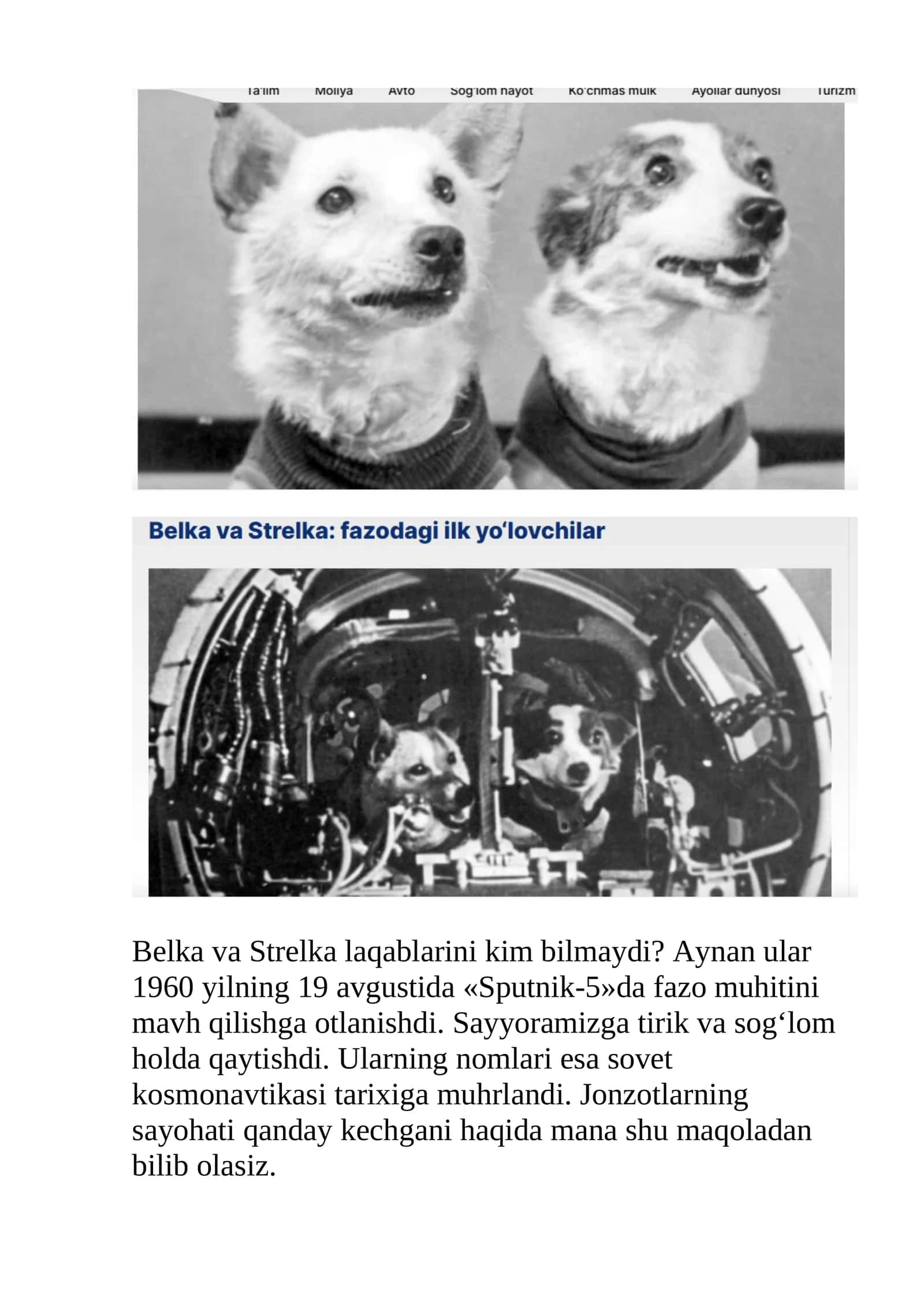 Belka va Strelka kosmonavtlari haqida 1