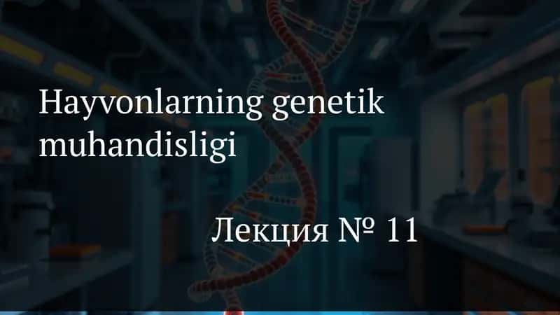 ЛУМС 1