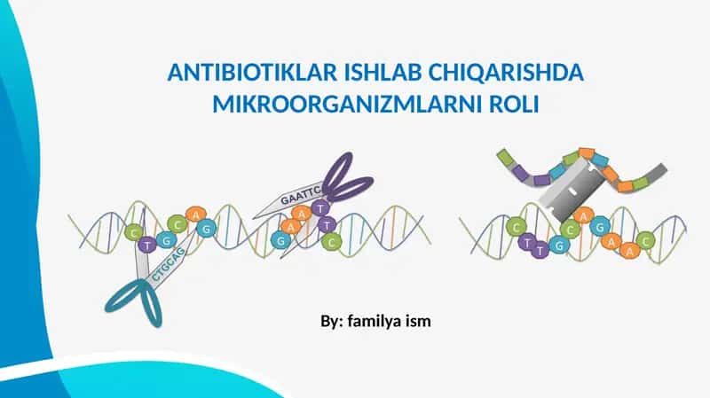 ANTIBIOTIKLAR ISHLAB CHIQARISHDA MIKROORGANIZMLARNI ROLI 1