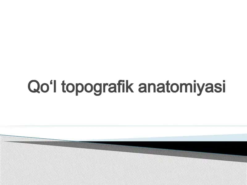 qoʻl topgrafik anatomiyasi 1