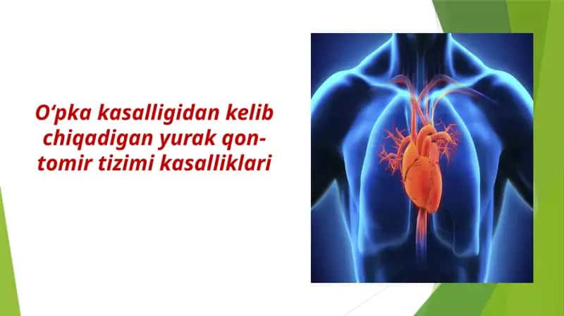 O‘pka kasalliklari va ularning yurak faoliyatiga ta’siri 1