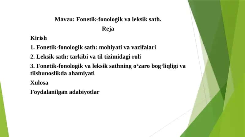 Fonetik-fonologik va leksik sath 1