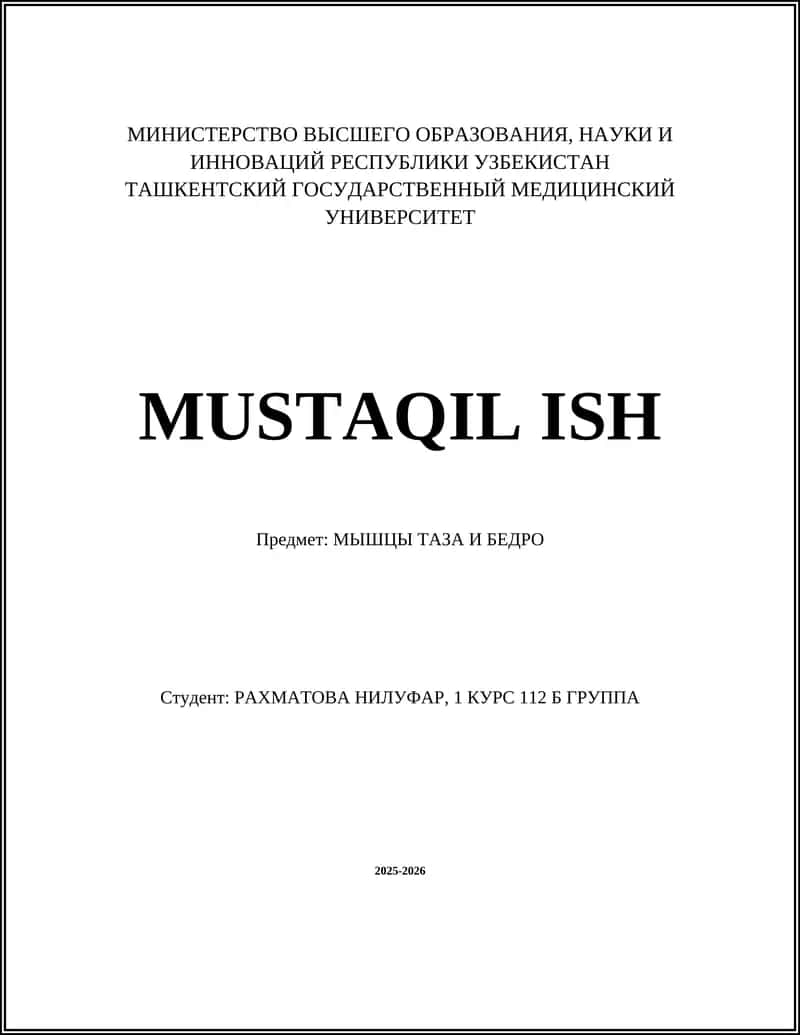 МЫШЦЫ ТАЗА И БЕДРА 1