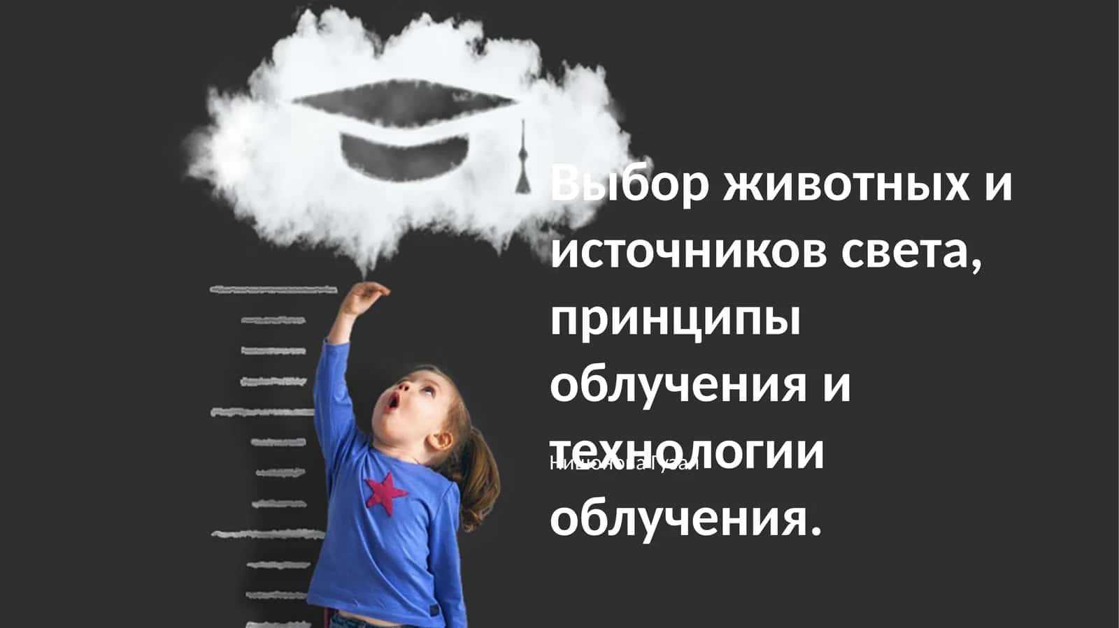 Выбор животных и источников света, принципы облучения и технологии облучения 1