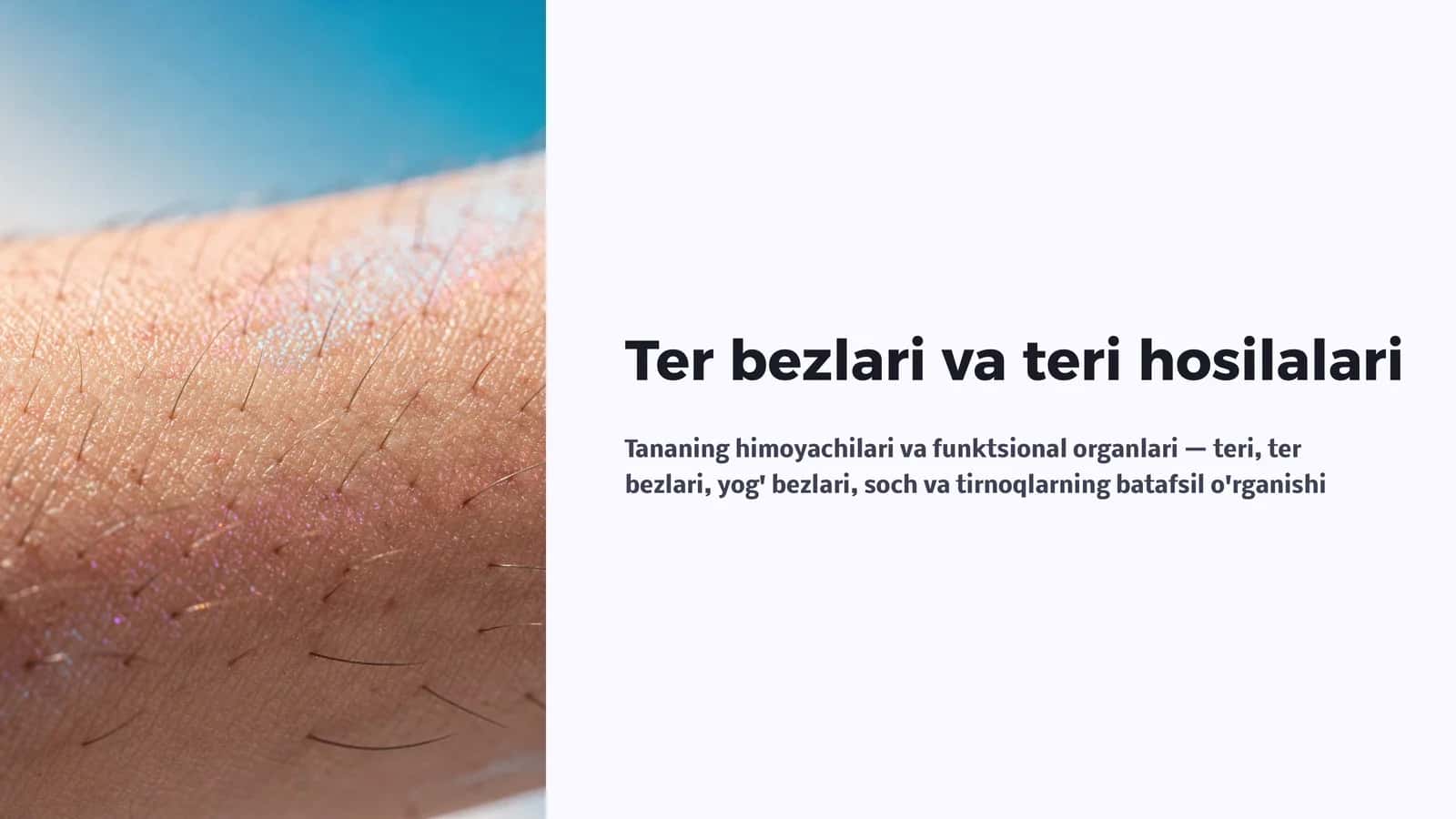 Ter bezlari va teri hosilalari 1