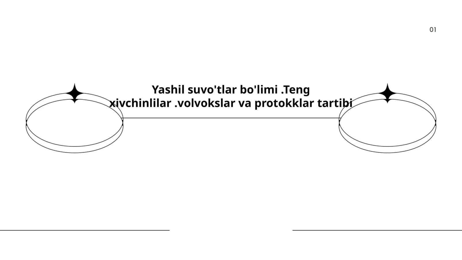 Yashil suvo'tlar bo'limi.Teng xivchinlilar.volvokslar va protokklar tartibi 1