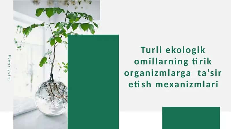 Turli ekologik omillarning tirik organizmlarga  ta’sir etish mexanizmlari 1