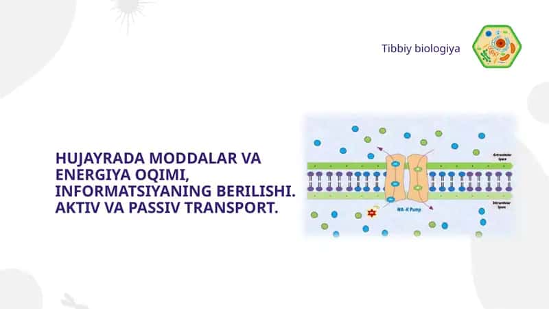 HUJAYRADA MODDALAR VA ENERGIYA OQIMI, INFORMATSIYANING BERILISHI. AKTIV VA PASSIV TRANSPORT. 1