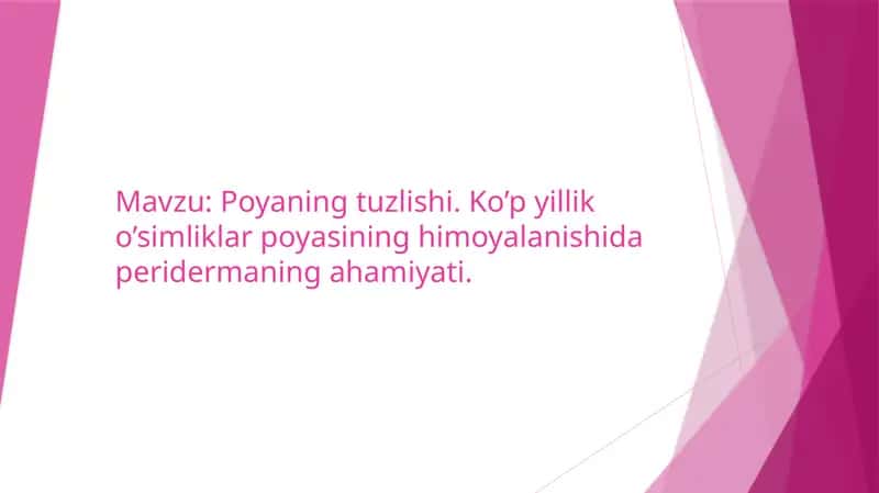 Poyaning tuzlishi. Ko’p yillik o’simliklar poyasining himoyalanishida peridermaning ahamiyati. 1