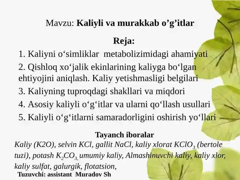 Kaliylivamurakkabo’g’itlar