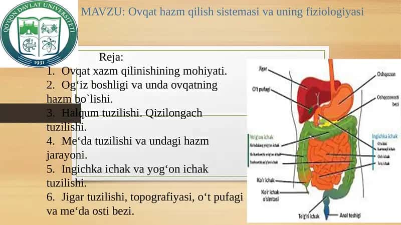 Ovqat hazm qilish sistemasi va uning fiziologiyasi 1