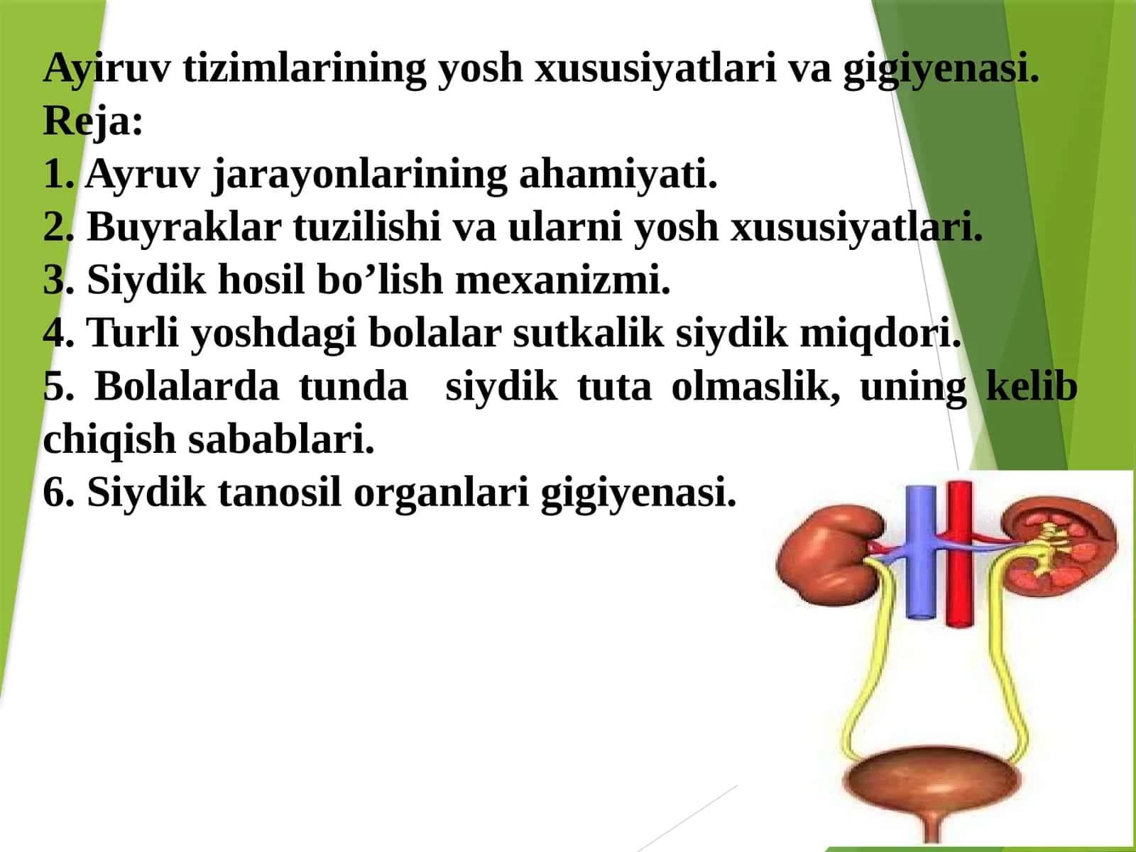 Ayiruvtizimlarining yosh xususiyatlari va gigiyenasi 1
