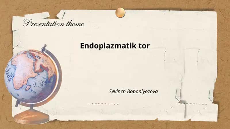 Endoplazmatik tor 1