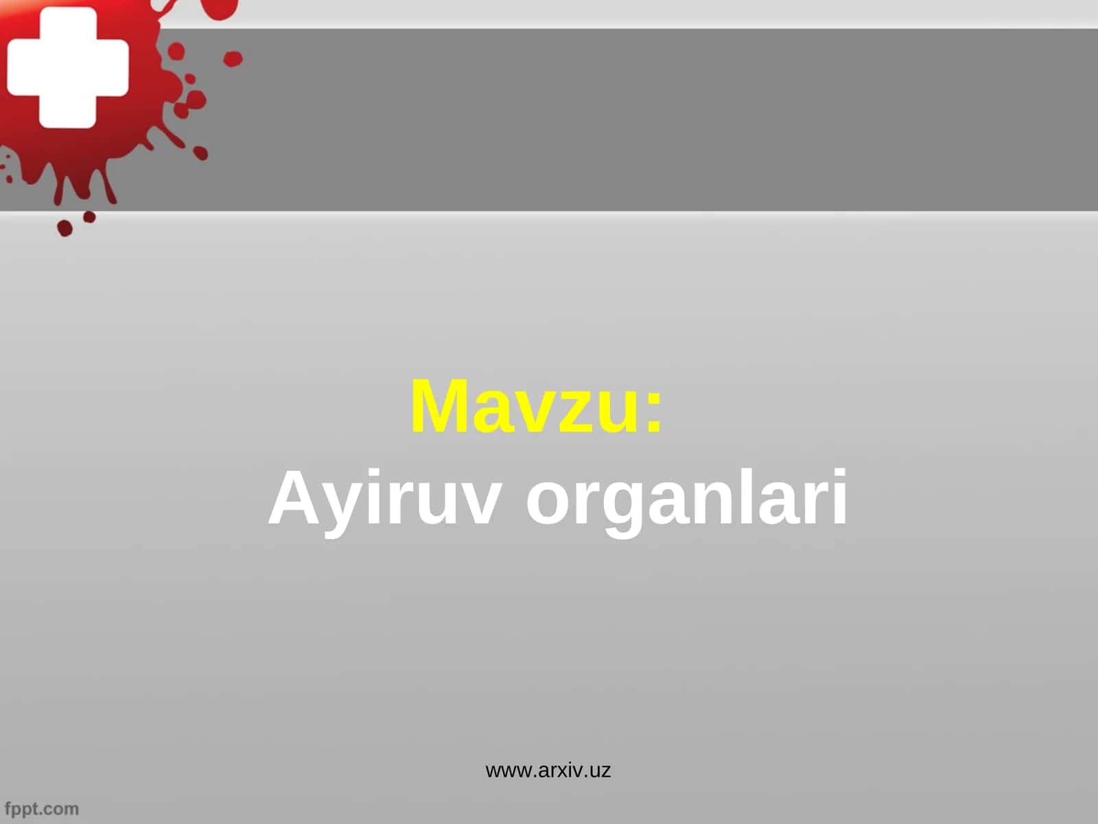 Ayiruv organlari 1