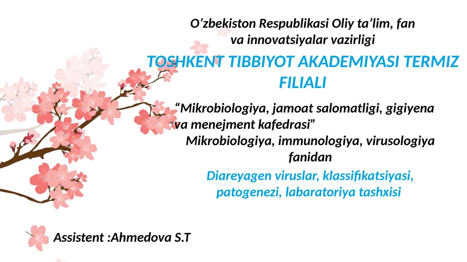 Diareyagen viruslar 1