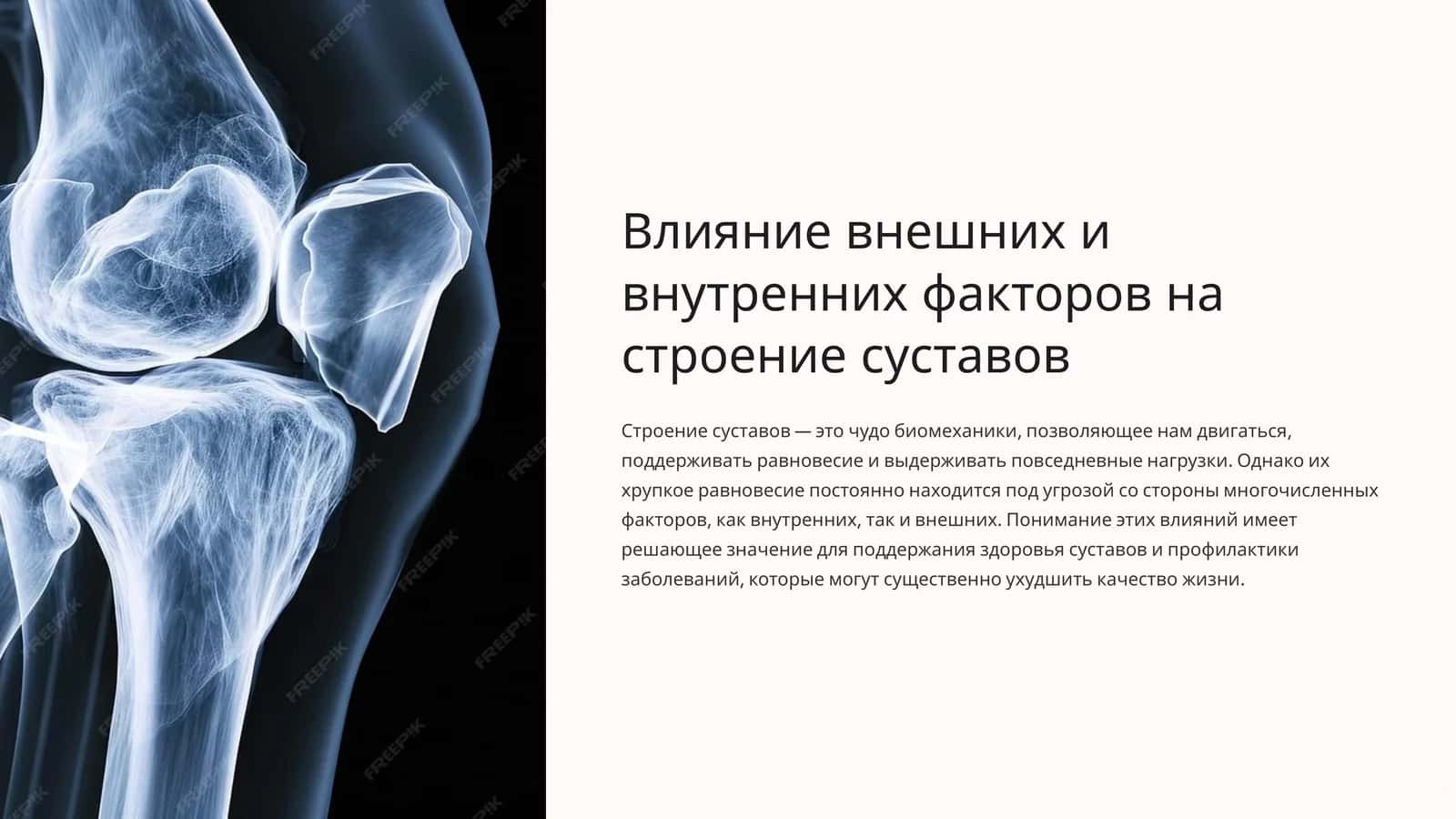 Влияние внешних и внутренних факторов на строение суставов 1
