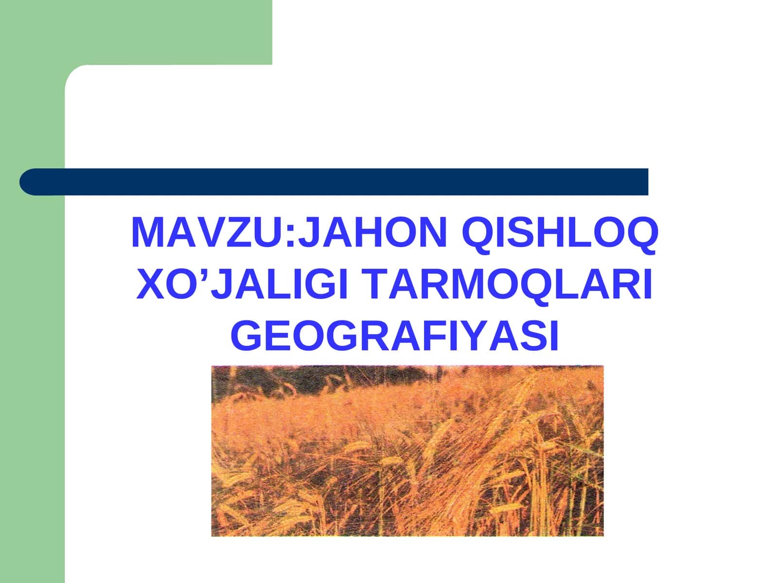 JAHON QISHLOQ XO’JALIGI TARMOQLARI GEOGRAFIYASI 1