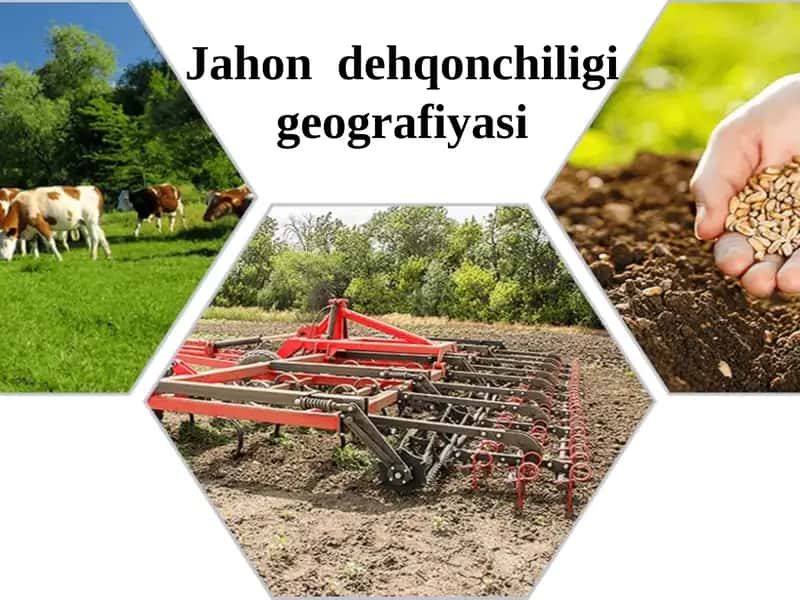 Jahon dehqonchiligi geografiyasi 1
