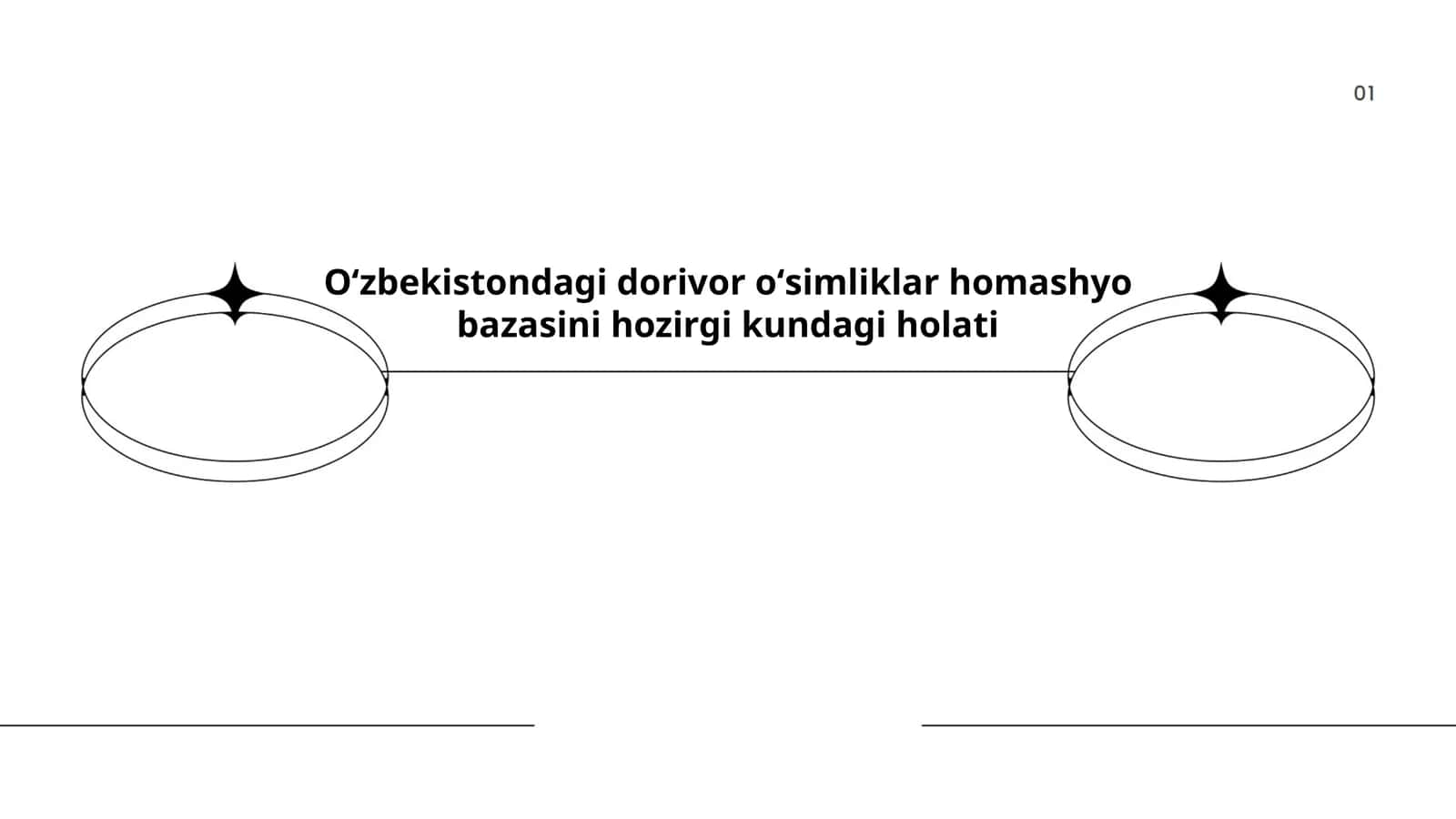 Oʻzbekistondagi dorivor oʻsimliklar homashyo bazasini hozirgi kundagi holati 1