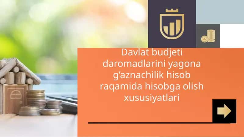 Davlat budjeti daromadlarini yagona g’aznachilik hisob raqamida hisobga olish xususiyatlari 1