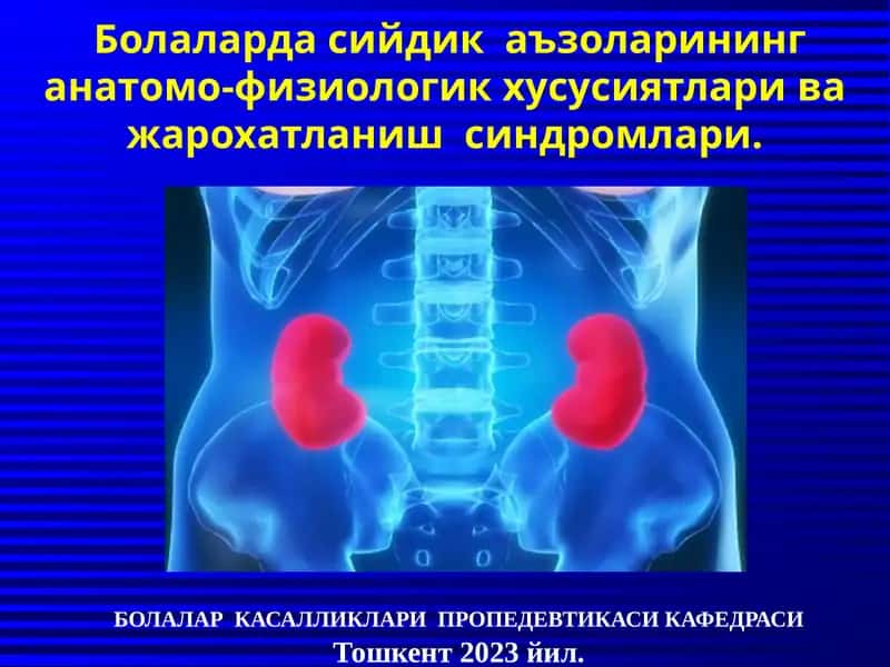 Болаларда сийдик аъзоларининг анатомо-физиологик хусусиятлари ва жарохатланиш синдромлари 1