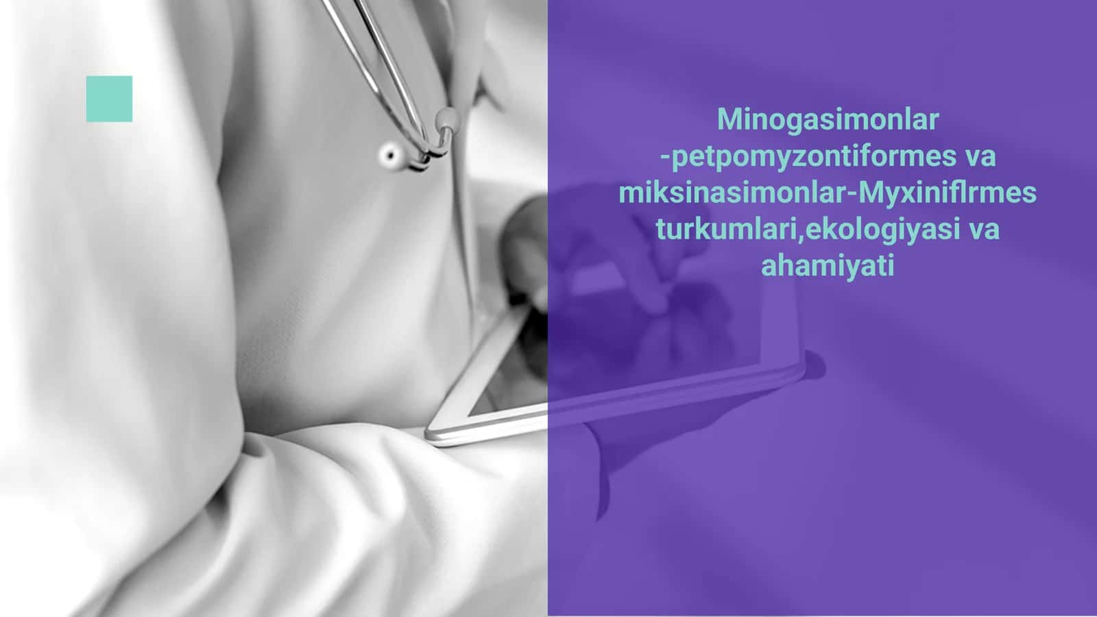 Minogasimonlar -petpomyzontiformes va miksinasimonlar-Myxiniflrmes turkumlari,ekologiyasi va ahamiyati 1